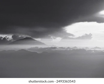 Portada de Salchispring